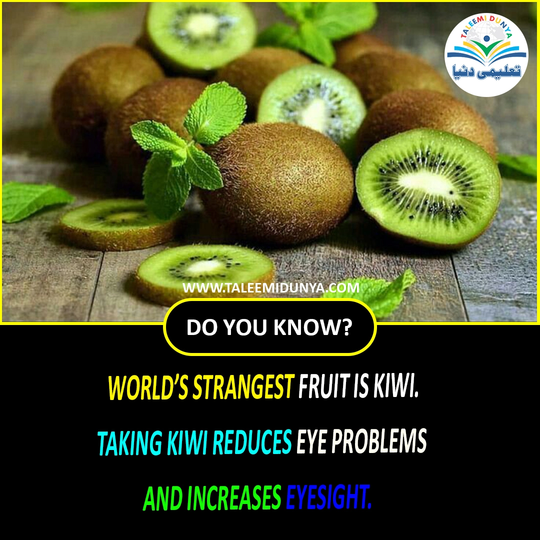 Kiwi